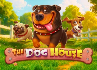 The Dog House Bonus Turu — İlkBahis 2026 Rehberi